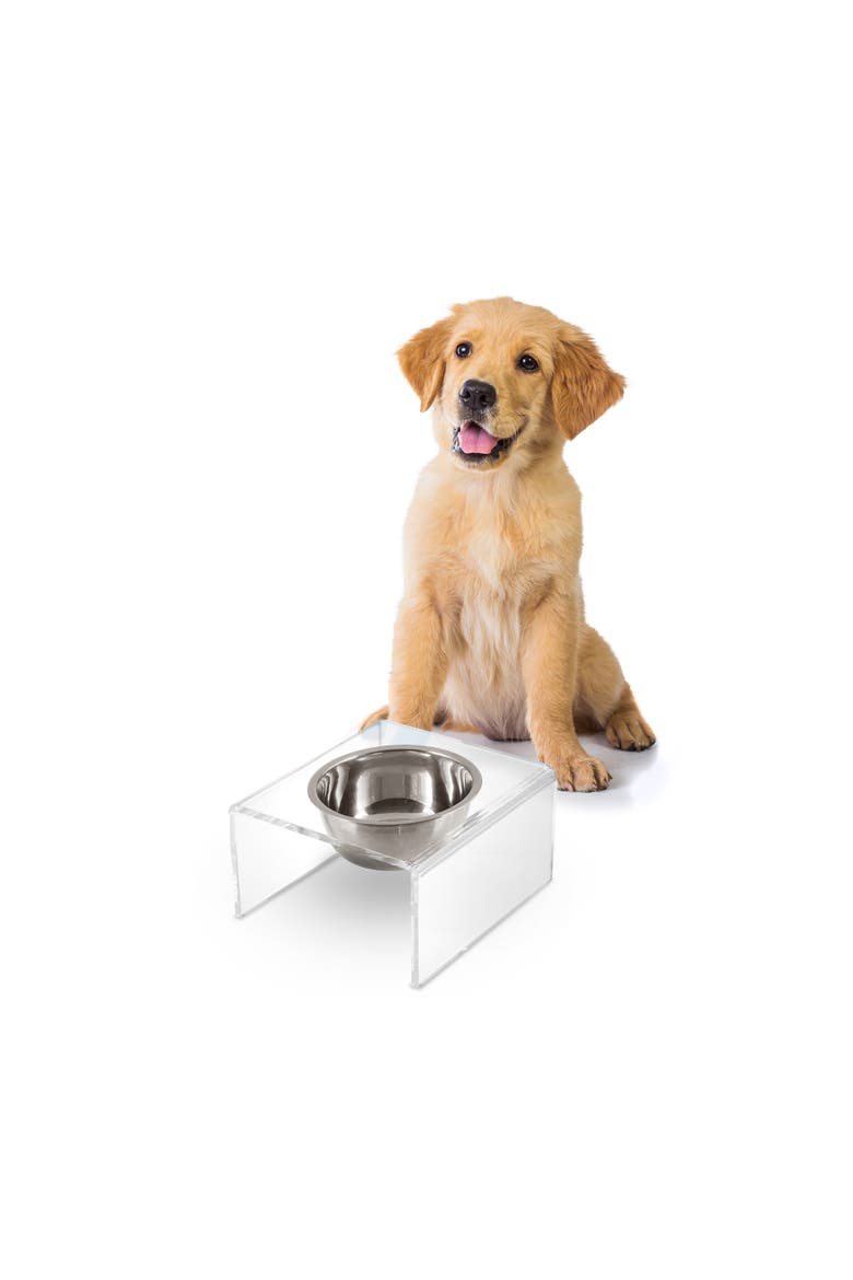 Keaton Modern Lucite Rectangular Elevated Pet Feeder with 2-Stainless Steel Bowls, Main, color, Clear/Chrome - Single