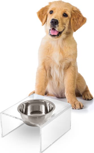 Acrylic Elevated Dog Bowl Stand 2 Pack with Magnetic Bonded  Lubber Elevated Clear Acrylic Pet Bowls display picture 1