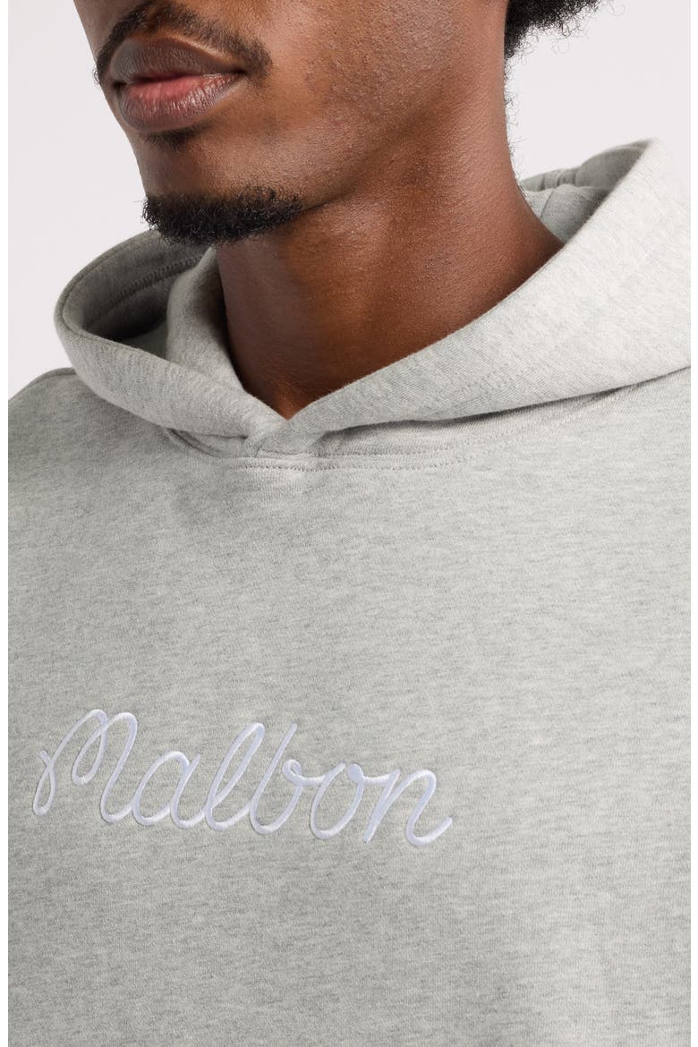 Fesque Relaxed Fit Cotton Hoodie, Alternate, color, HEATHER GREY
