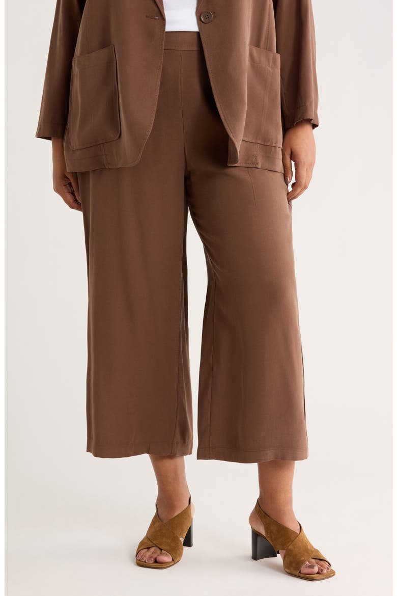 Brushed Twill Crop Wide Leg Pants, Main, color, ACORN