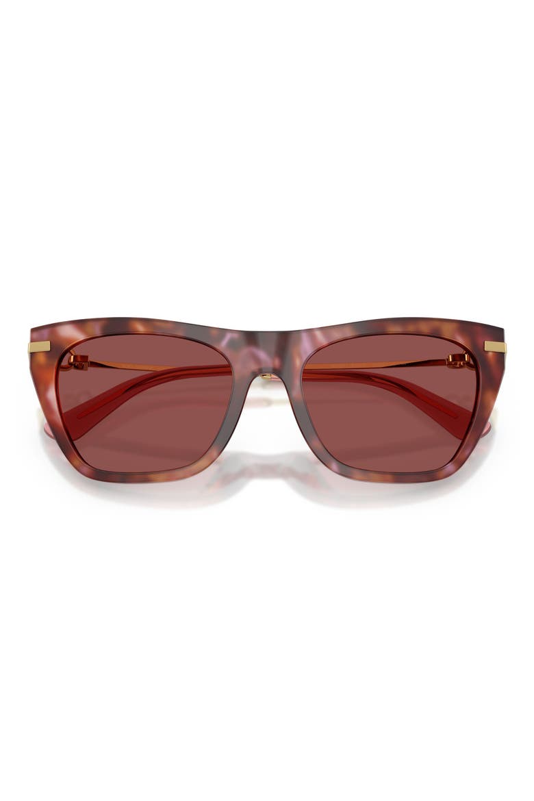 55mm Square Sunglasses, Alternate, color, HAVANA BROWN / DARK VIOLET