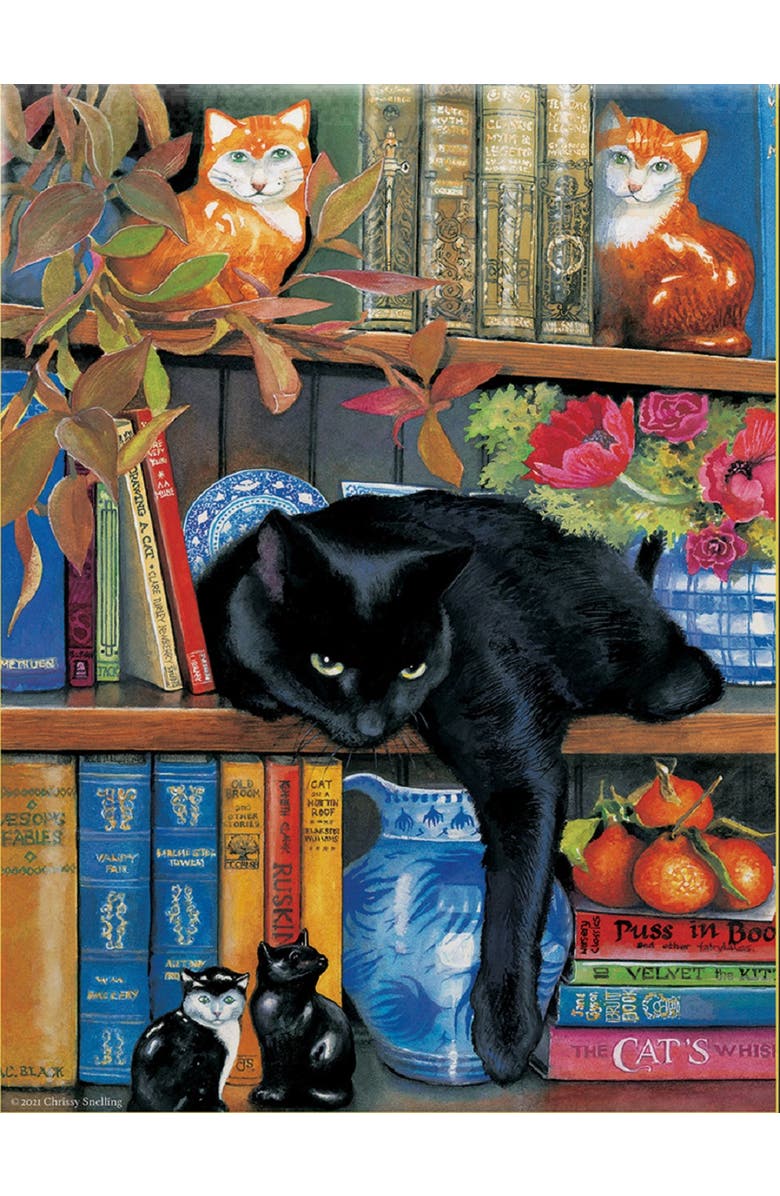 Sunsout On The Shelf 1000 piece Jigsaw Puzzle for Adults, Alternate, color, Multicolor