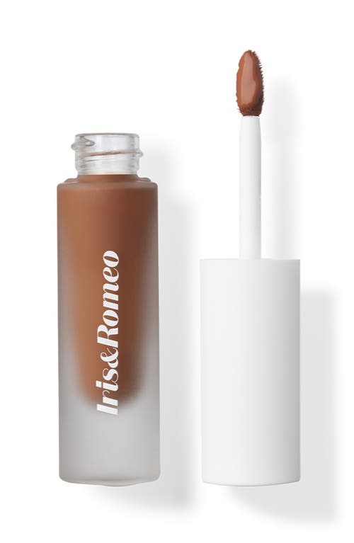 IRIS&ROMEO Best Skin Days™ Treatment Concealer in Shade 12  product