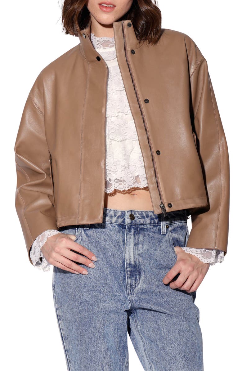 Walter Baker Roman Leather Jacket, Main, color, Mousse