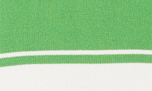Alexia Admor Knit Drop Waist Dress In Green