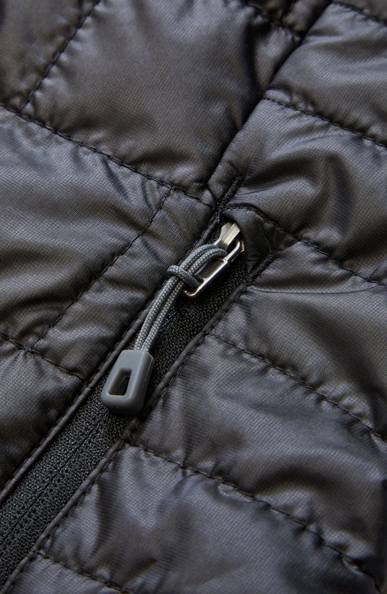 Patagonia Nano Puff<sup>®</sup> Insulated Vest, Alternate, color, 