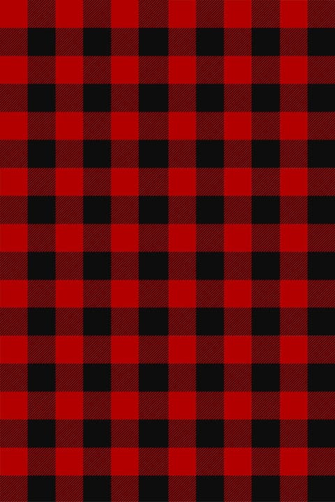 Buffalo Plaid Rug