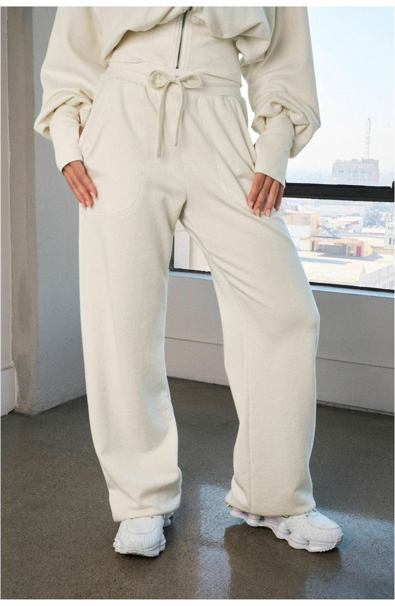 Vitality Remedy Carpenter Pant, Alternate, color, Bone Washed