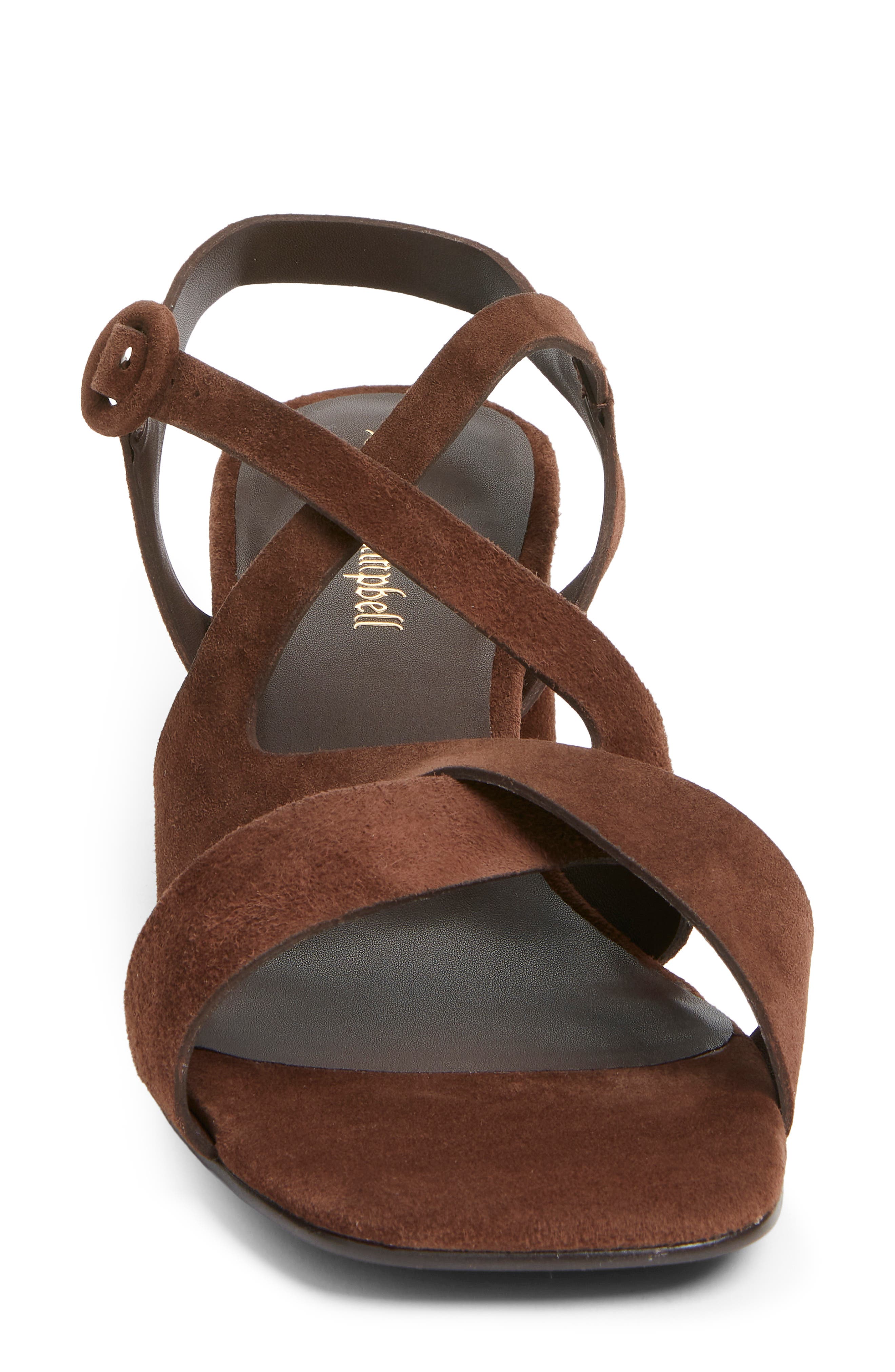 Rayet Strappy Block Heel Sandal, Alternate, color, BROWN SUEDE