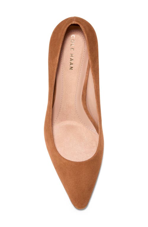 Cole Haan Vivica Pointed Toe Pump In Brown