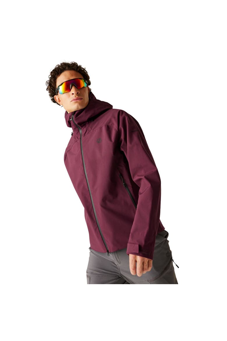 Roving Iii Waterproof Ski Jacket, Alternate, color, Fig