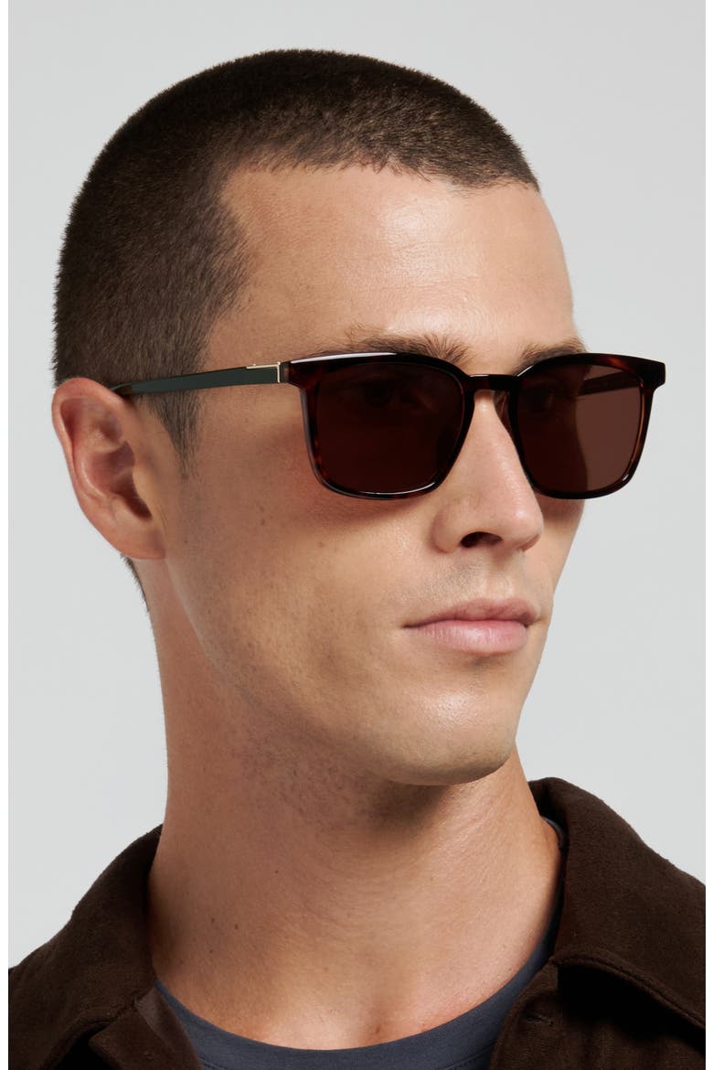 53mm Panthos Square Sunglasses, Alternate, color, HAVANA/ BROWN