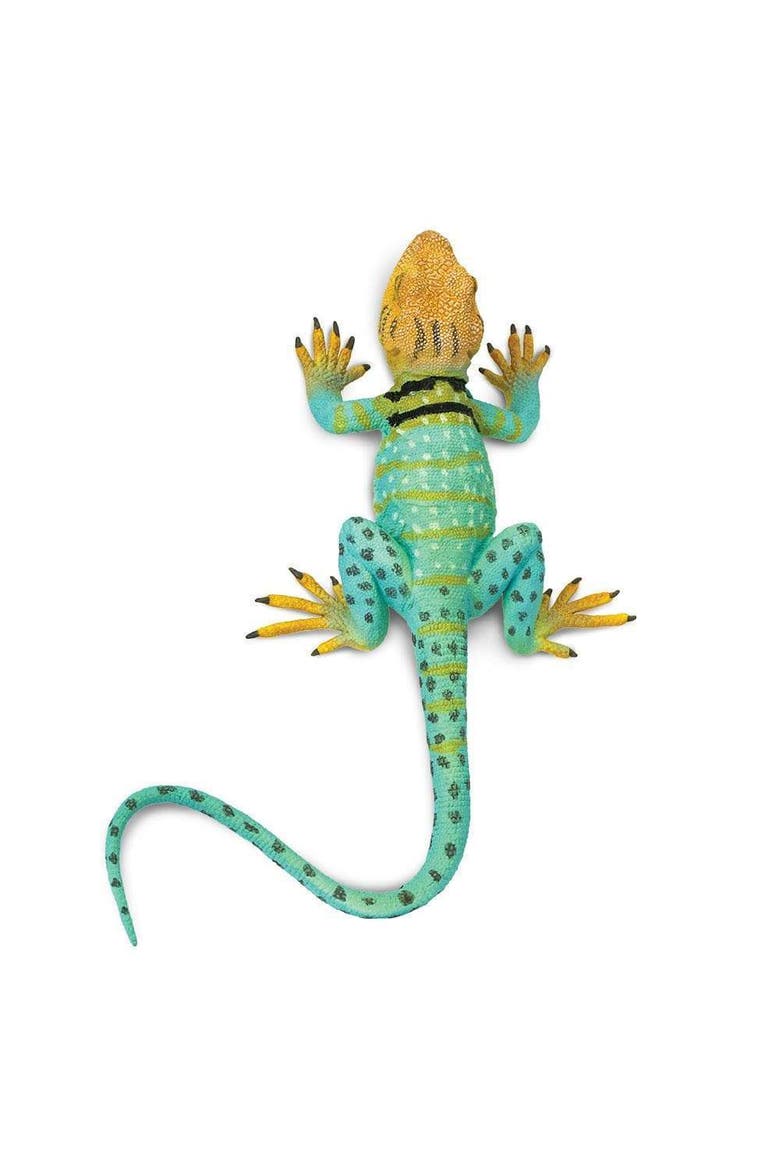 Collared Lizard Toy, Alternate, color, No Color