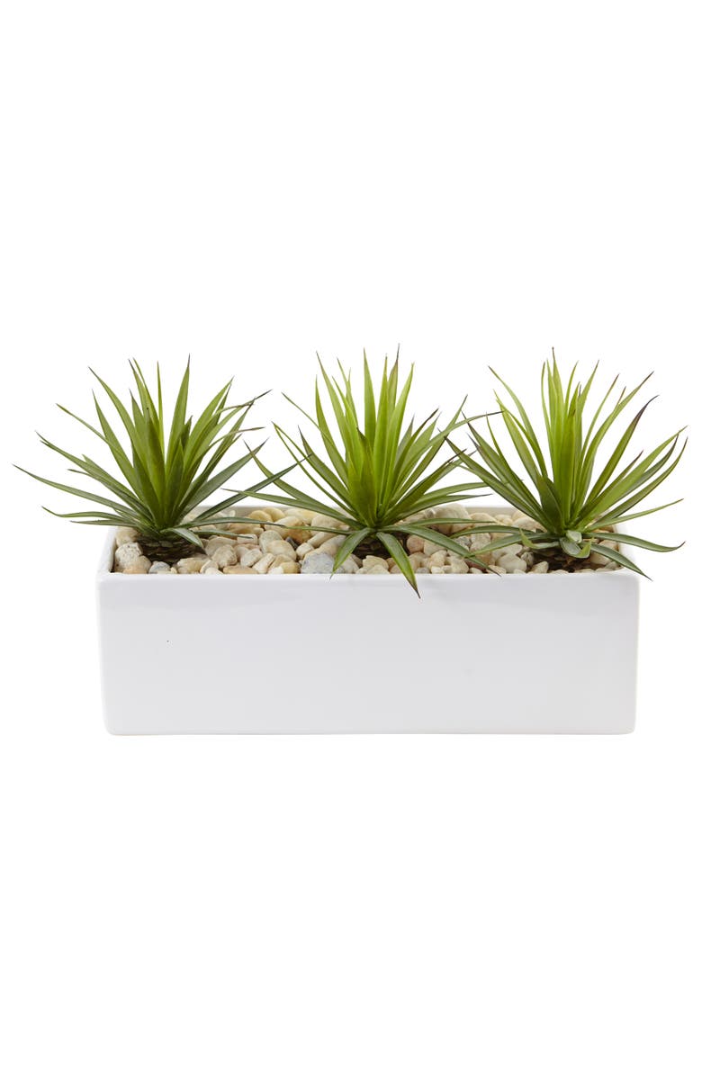NEARLY NATURAL Mini Agave Artificial Plant in Rectangular Ceramic, Main, color, Green