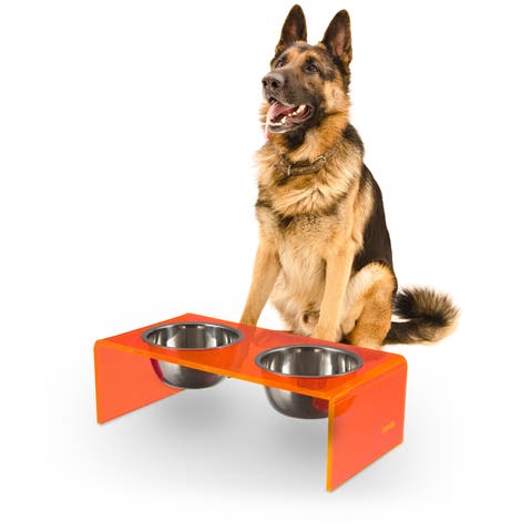 Keaton Modern Lucite Rectangular Elevated Pet Feeder with 2-Stainless Steel Bowls