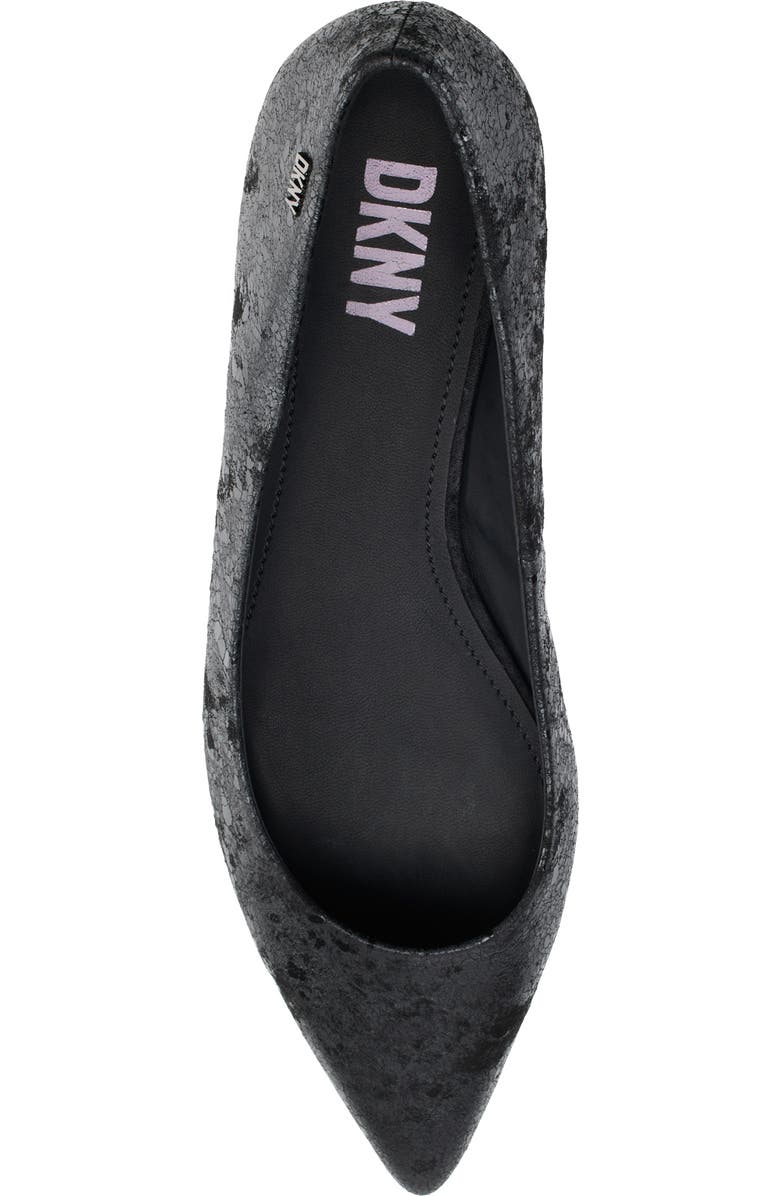 DKNY Vien Pointed Toe Ballet Flat, Alternate, color,