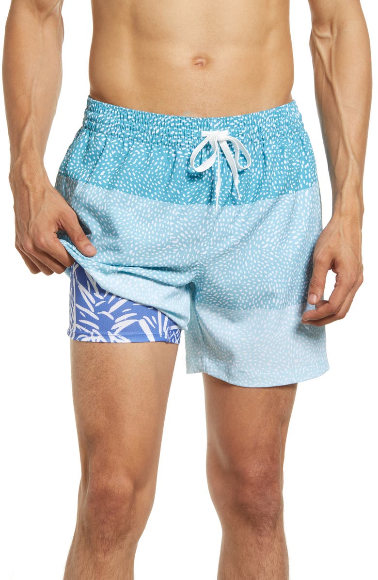 Chubbies 5.5-Inch Swim Trunks, Main, color, The Whale Sharks