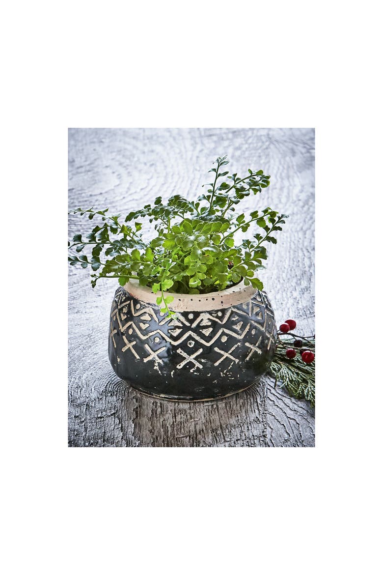 Valley Carved Handpainted Terracotta Planter for Plants, Alternate, color, Black