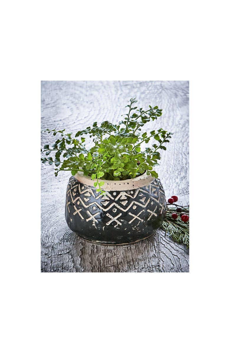 tag Valley Carved Handpainted Terracotta Planter for Plants, Alternate, color, Black