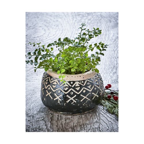 Tag Valley Carved Handpainted Terracotta Planter For Plants In Black