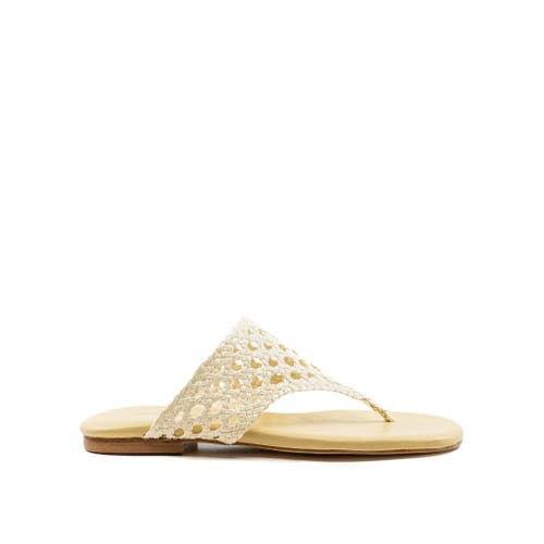 Andrea Gomez Brenda Flat
