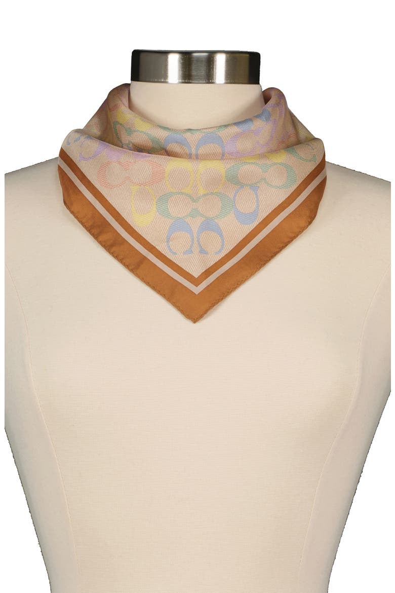 Rainbow Signature C Silk Scarf, Alternate, color, BEIGE MULTI