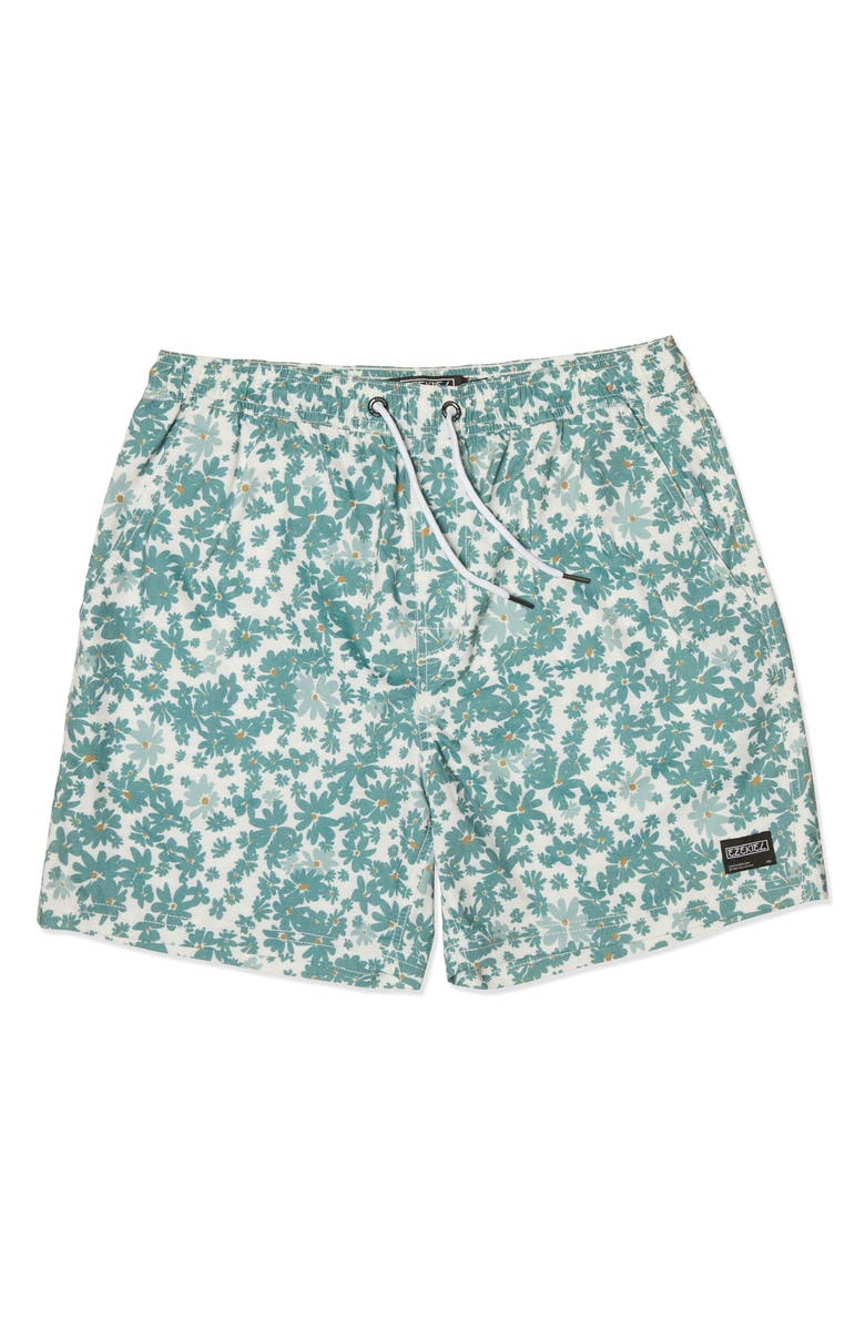 Ezekiel Victory Swim Shorts, Main, color, Sage