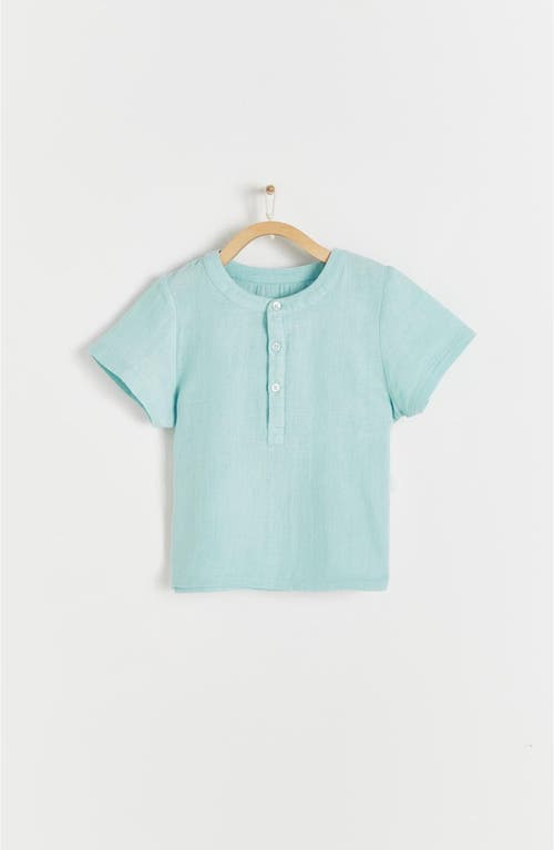Babycottons Kids'  Monet Mandarin Collar Short Sleeve Shirt In Blue