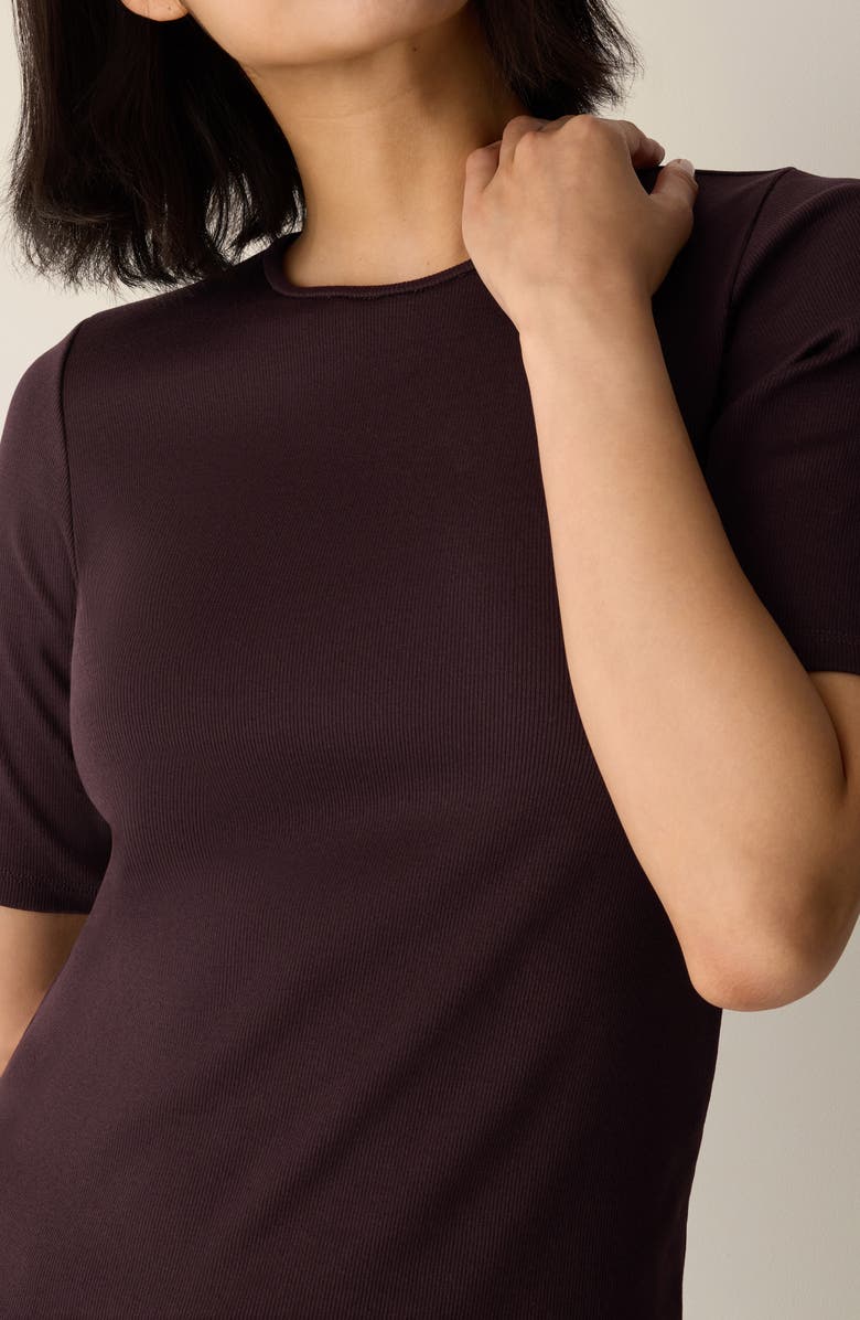 Eileen Fisher Crewneck T-Shirt, Alternate, color, Cassis