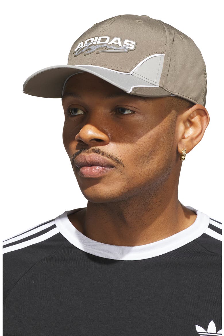 Motorsport Baseball Cap, Alternate, color, BRANCH BROWN/ GREY/ WHITE