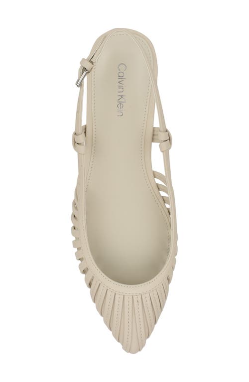 Calvin Klein Jillie Pointed Toe Flat