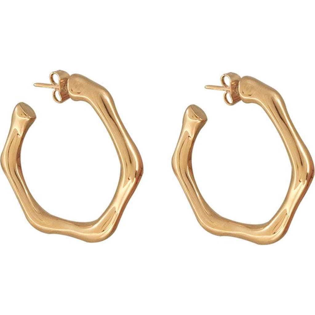 CXC Bambú Hoop Earrings in Gold  product