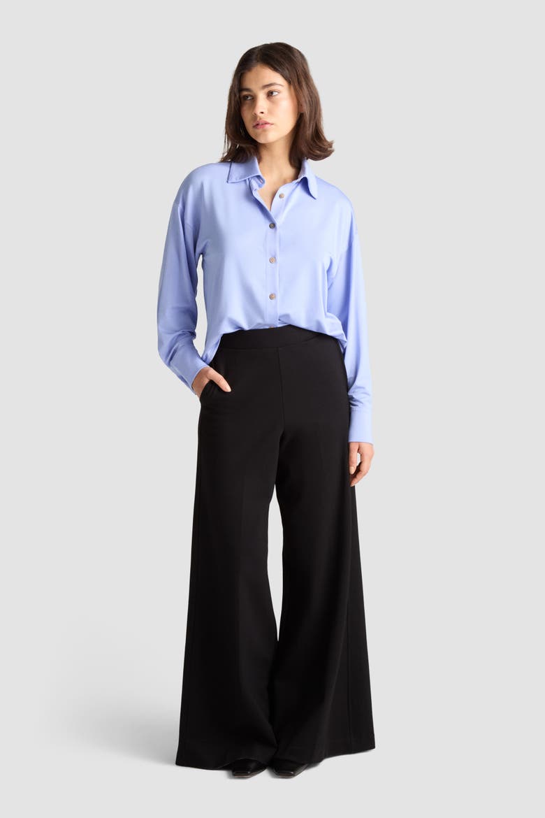Gart Button Front Jersey Shirt, Alternate, color, Bluebird