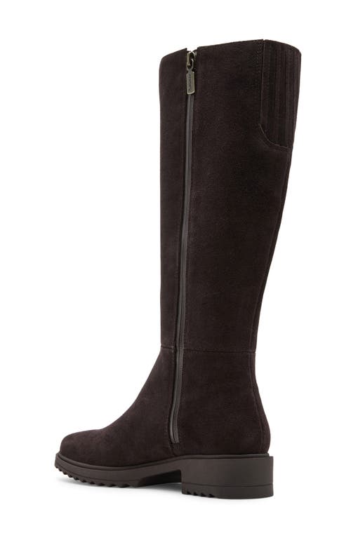 Blondo Colorado Waterproof Knee High Riding Boot In Animal Print