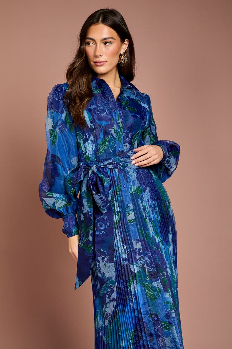 Floral Organza Shirt Dress, Alternate, color, Blue