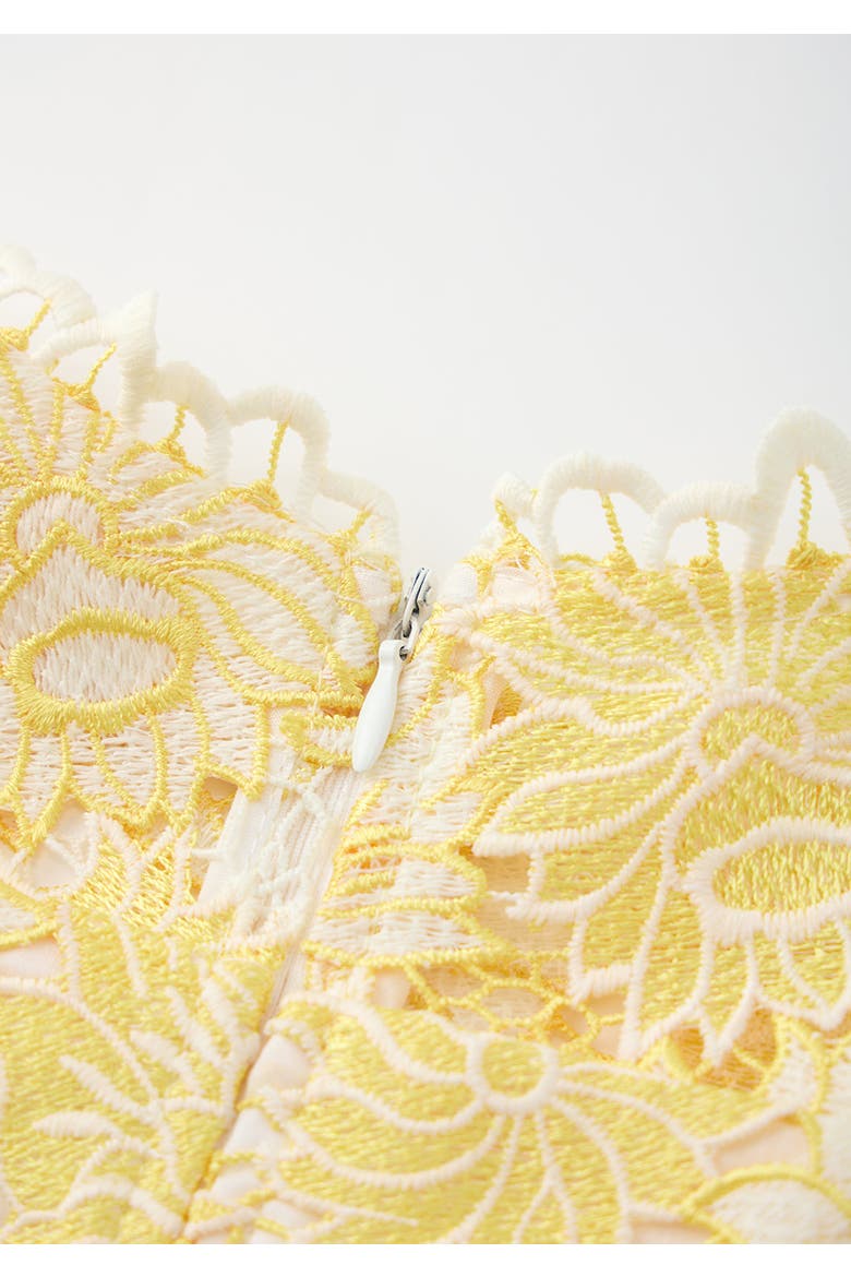Cassandra Embroidered Mini Dress, Alternate, color, Yellow