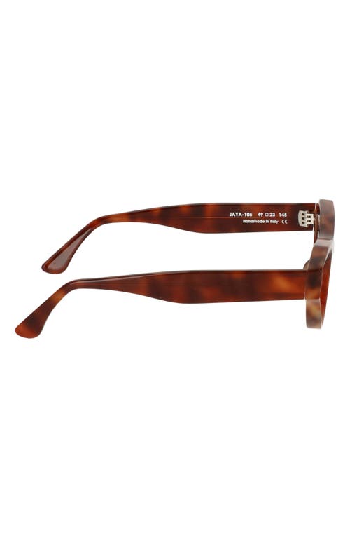 Cult Gaia X Thierry Lasry Jaya 49mm Cat Eye Sunglasses In Brown