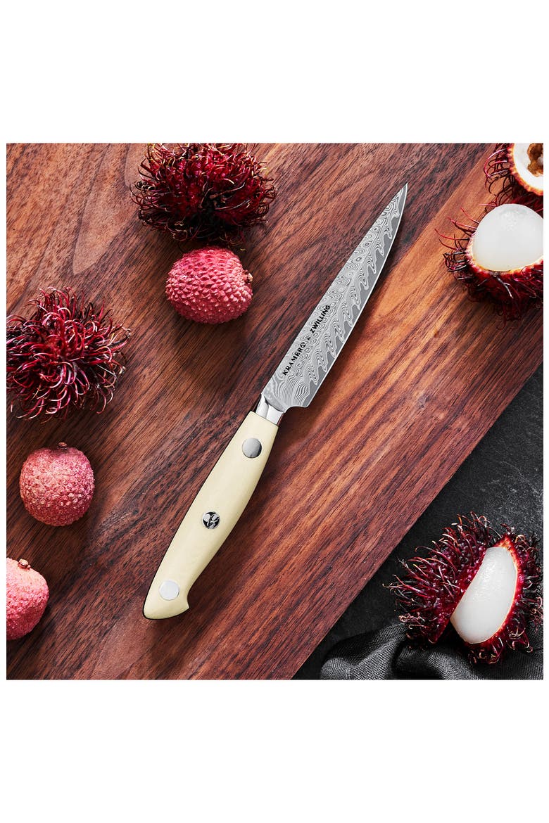 Bob Kramer Cumulus 4-Inch Paring Knife, Alternate, color, WHITE