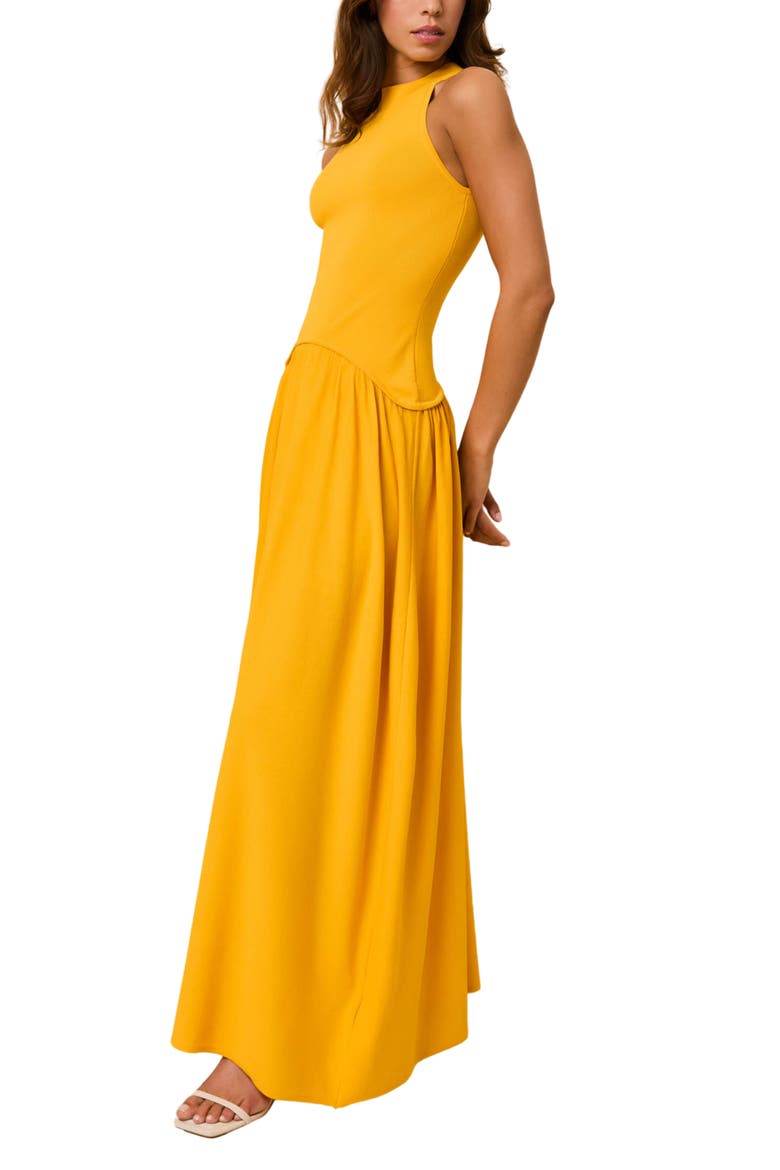 The Isola Sleeveless Maxi Dress, Alternate, color, PINEAPPLE