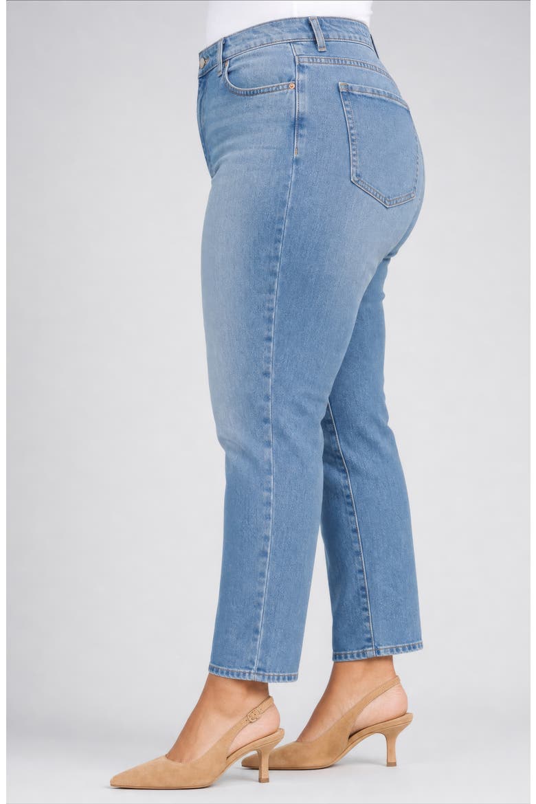 Kasey High Waist Stovepipe Straight Leg Jeans, Alternate, color, JOAQUIN