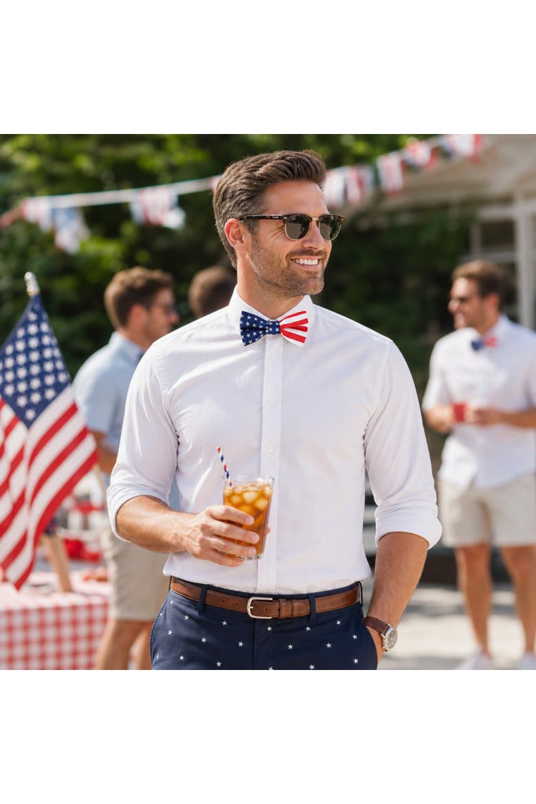 America's Old Glory Silk Bow Tie, Alternate, color, Red, White, and Blue