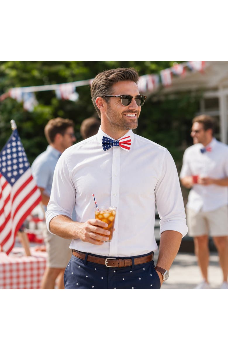 Trafalgar America's Old Glory Silk Bow Tie, Alternate, color, Red, White, And Blue