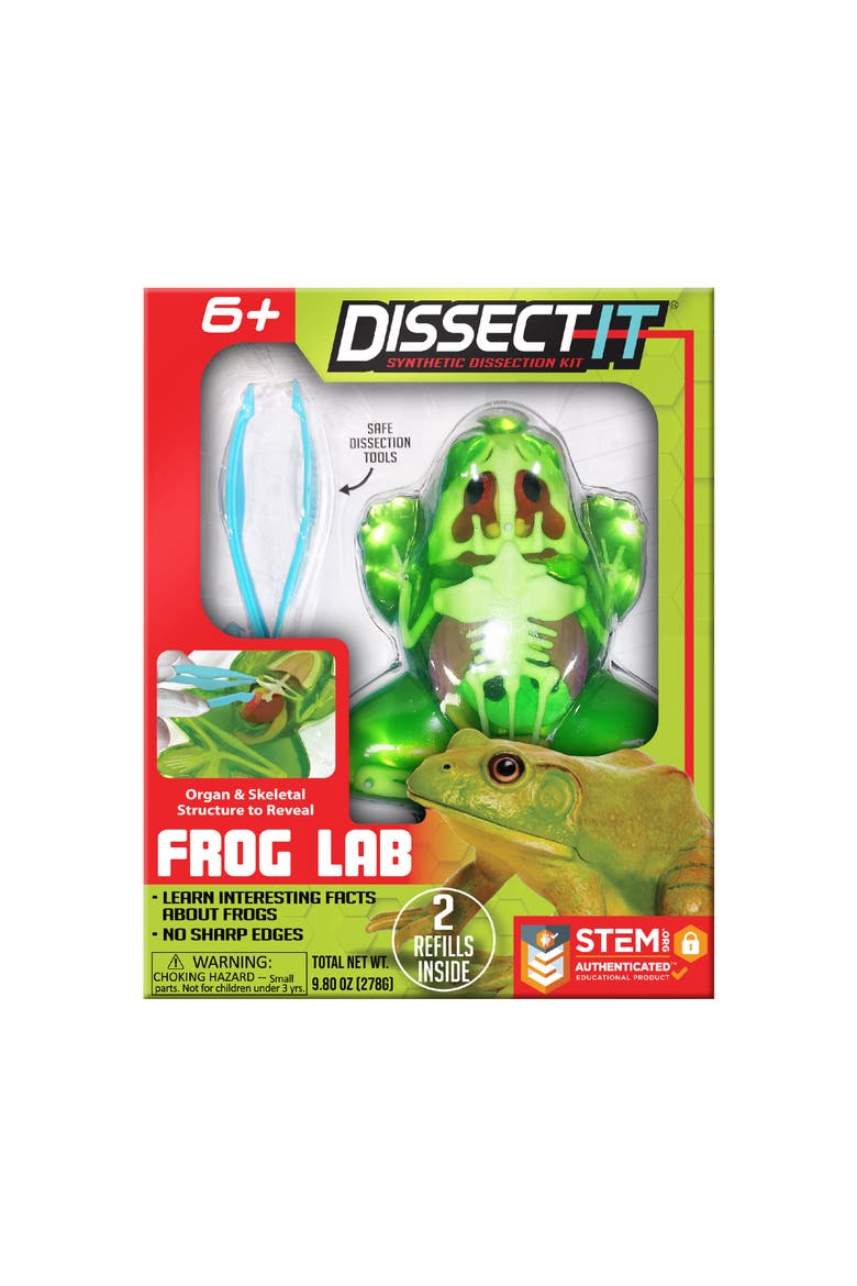 Dissect it Frog Lab, Science Kit, Ages 6+, Main, color, Multicolored