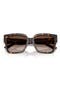  Havana / Gradient Brown