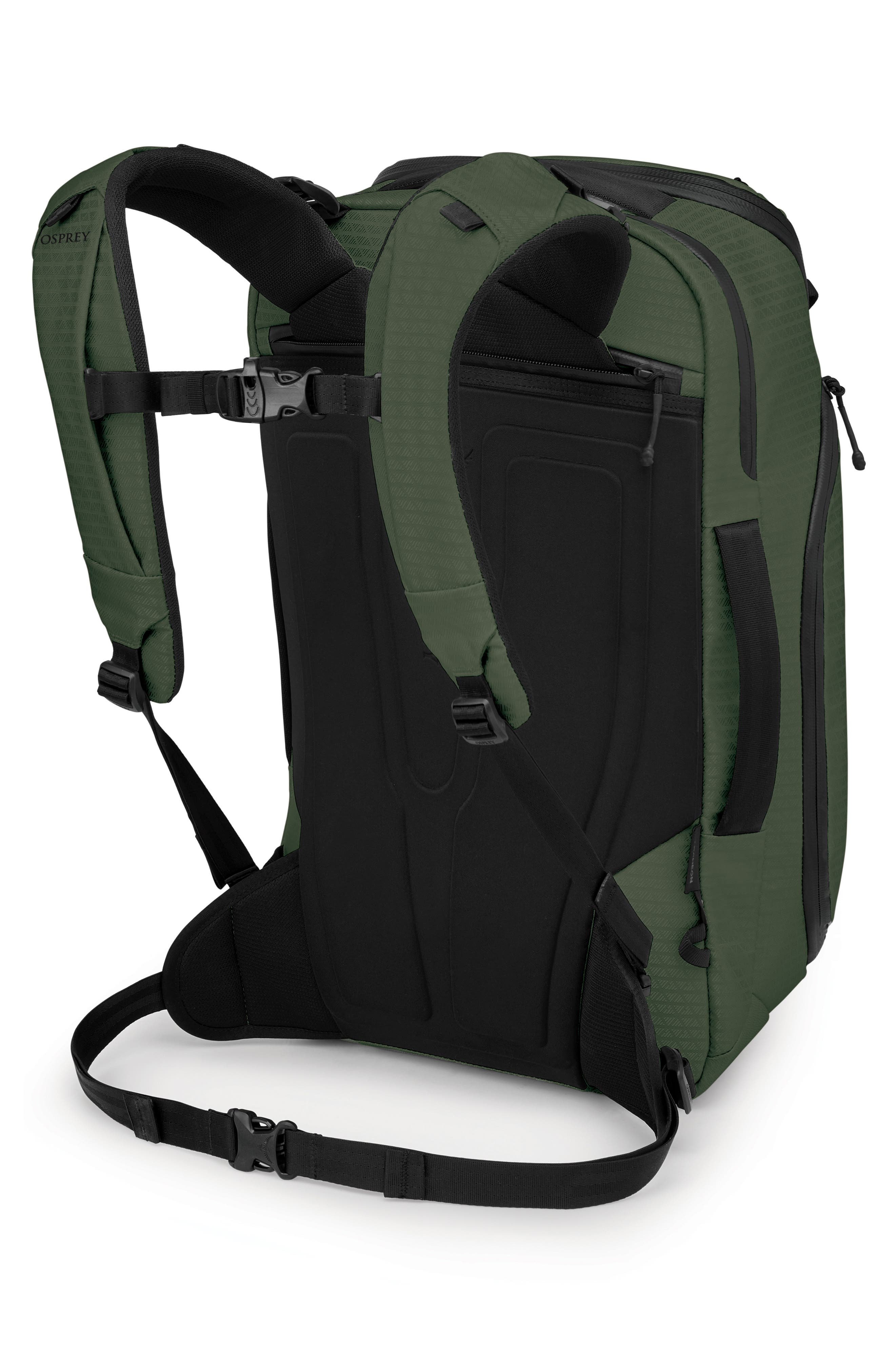 Archeon 30-Liter Backpack, Alternate, color, SCENIC VALLEY