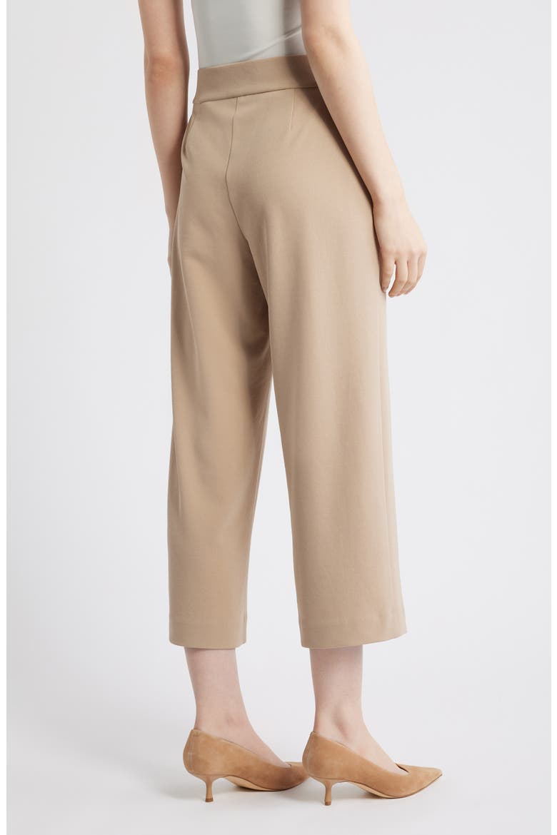 Tie Front Pull-On Wide Leg Crop Pants, Alternate, color, LATTE