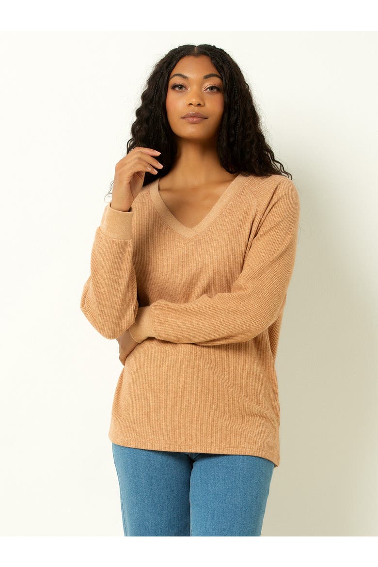 Classic Ribbed V-Neck Sweater, Main, color, Macaroon