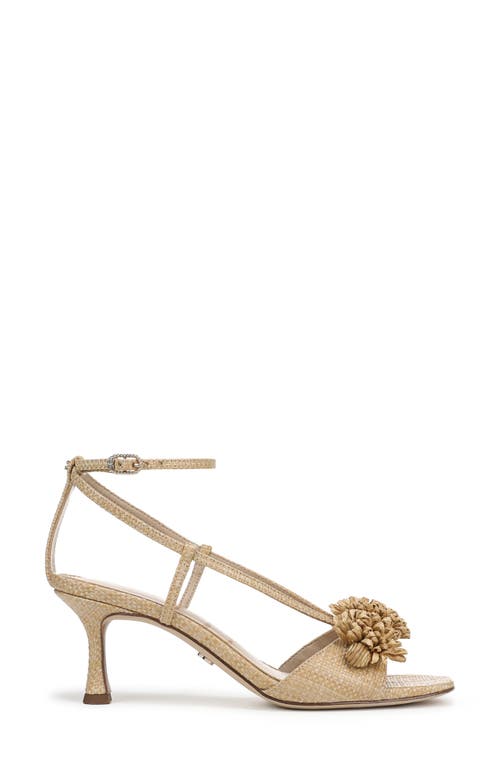 Shop Sam Edelman Phoebe Ankle Strap Sandal In Bleached Beechwood