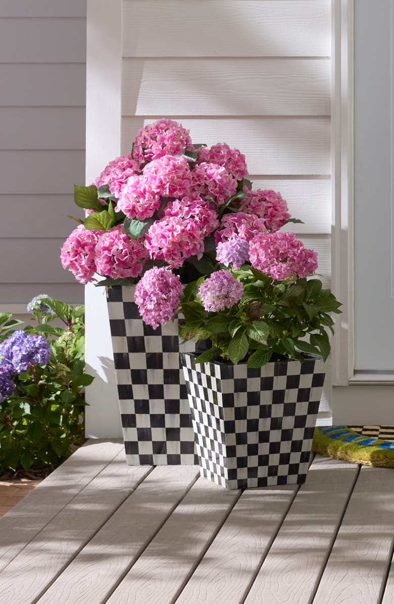 MACKENZIE CHILDS Courtly Check 20" Planter, Alternate, color, Courtly