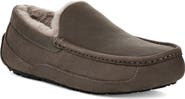 UGG® Ascot Slipper
